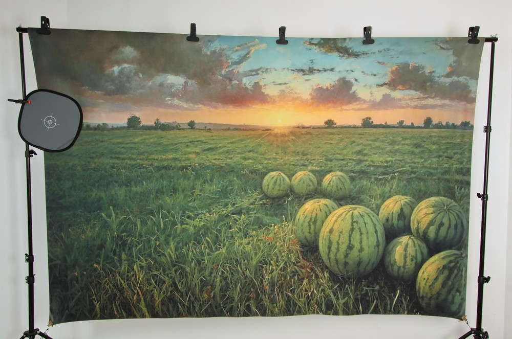 Backdrop "Watermelons in the field"