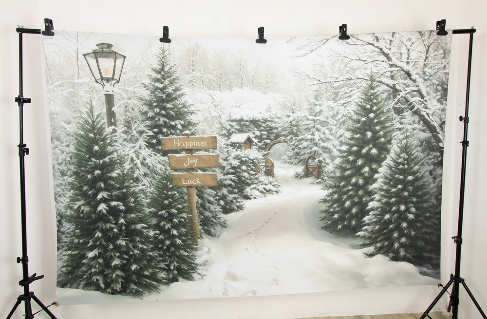 Нейрофотофон "Зимний дворик"