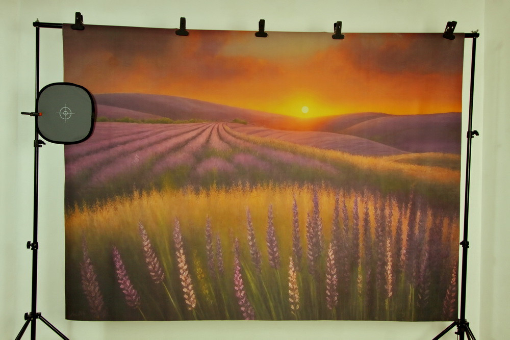 Backdrop "Lavender field sunset"