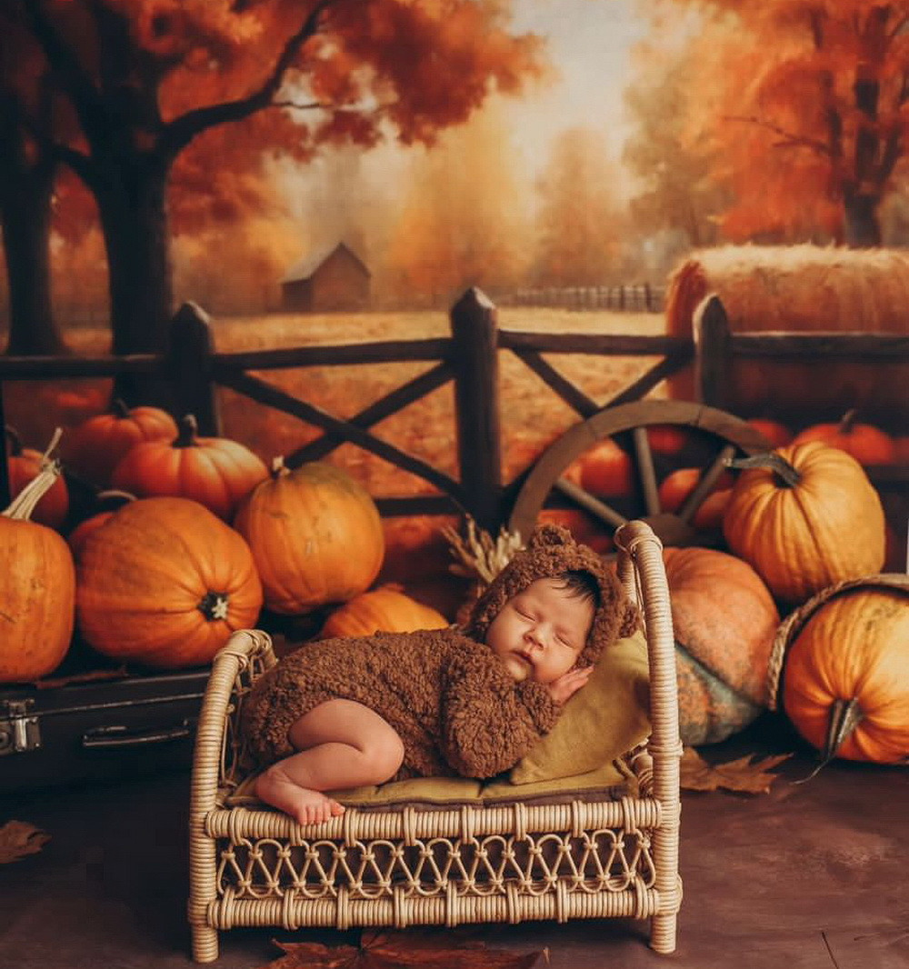 Backdrop "Pumpkins at a fence 2,0"