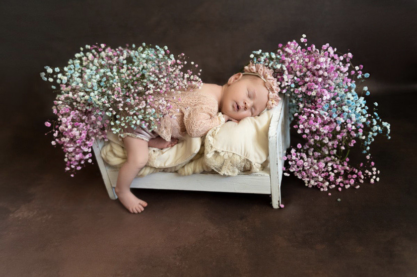 Double sided backdrop "chocolate / wall"